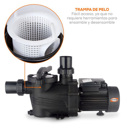 Bomba EVANS – 0.5 Hp, 127 V Monofásica Resistente a Químicos (BDP1.5ME050F)